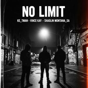 No Limit (feat. VINCE KAY & Shaolin Montana _SA)