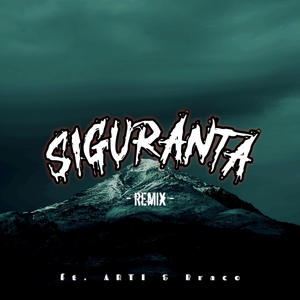 SIGURANȚĂ (feat. ARTI & Braco) [Remix] [Explicit]