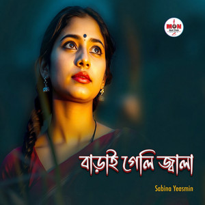 বাড়াই গেলি জ্বালা