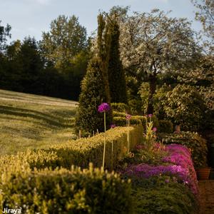 Canon with Rain (Slowed and Reverbed)