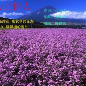 心上伊人