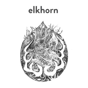 Elkhorn