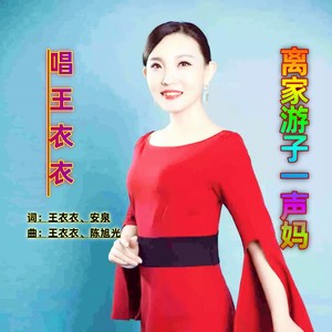 离家游子一声妈DJ
