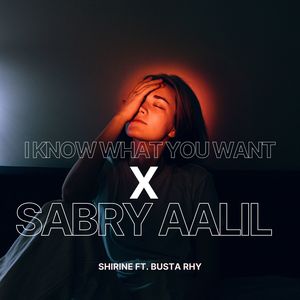 I know what you want x Sabry Aalil