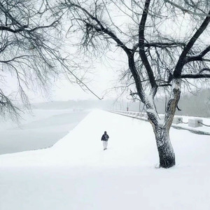 一城白头 (女声版)