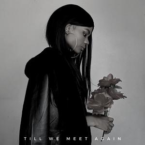 Till We Meet Again (feat. Climex Music) [Explicit]