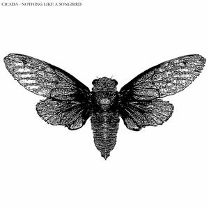 Dysphoric Moth Dehydration Rant