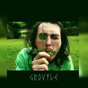 Grovyle (Explicit)