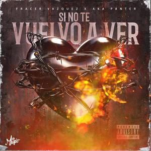si no te vuelvo a VER (feat. AKA PANTER) (Explicit)