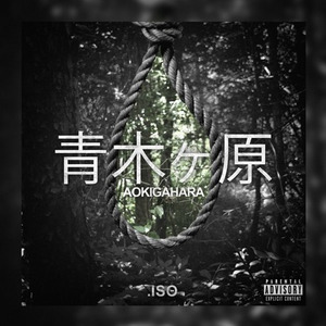 Aokigahara 青木ヶ原