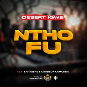 Nthofu (feat. Shawishe & Goodson Gomonda)