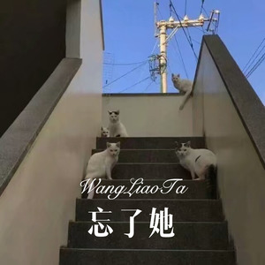 仙儿 (Remix)