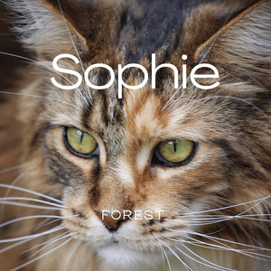 Sophie