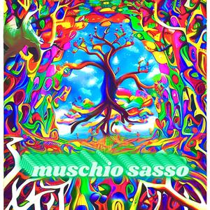 muschio sasso