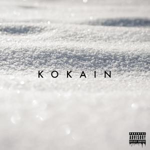 Kokain(feat. R.O.261)
