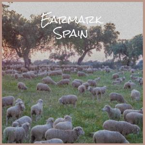 Earmark Spain