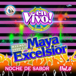 Noche de Sabor Vol. 5. Música de Guatemala para los Latinos (En Vivo)