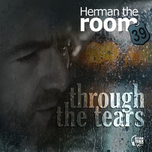 Through the Tears (Radio Edit)