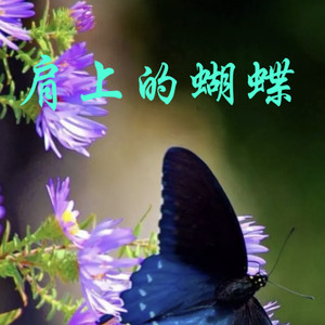 肩上的蝴蝶