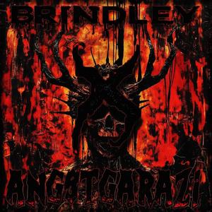 X (feat. ANGSTGARAZi) (Explicit)