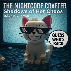 Shadows of Her Chaos (Skynet VIP Mix)
