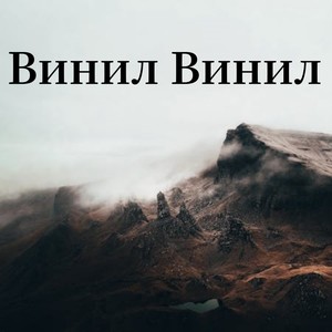 Винил винил