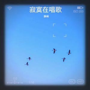 寂寞在唱歌