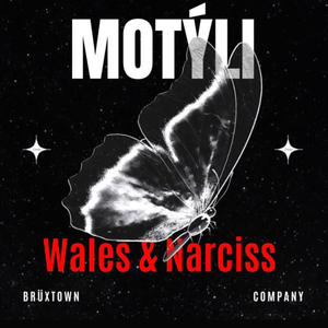 MOTÝLI (feat. Wales) (Explicit)