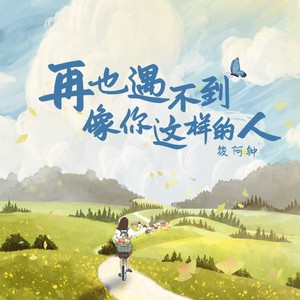 钟晓红 - 再也遇不到像你这样的人 (DJ Eva版伴奏)