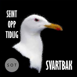 Svartbak