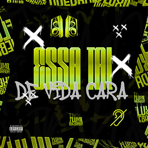 Essa tal de vida cara (Explicit)