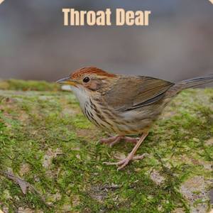 Throat Dear