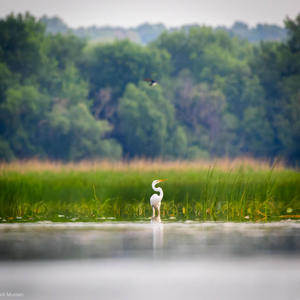 Lazy Saturday (feat. Michael Linder & Adrian Mustain)