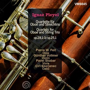 Quartet for Oboe and String Trio in G Major, Op. 28.1 - Allegro. Andante con variazioni