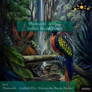 Acidbus (The Moonquake Breaks Remix)