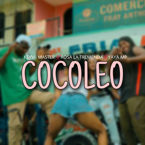 Cocoleo