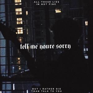 Tell Me You're Sorry (feat. Ricks)