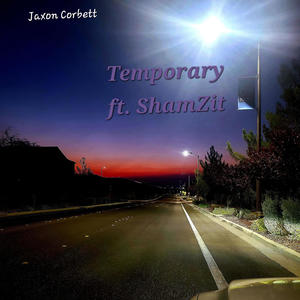 Temporary (feat. $hamZit) [Explicit]