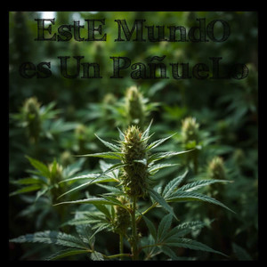 Este mundo es un pañuelo (Explicit)