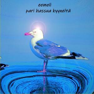 Pari hassua kyyneltä