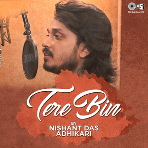 Tere Bin (Cover Version)