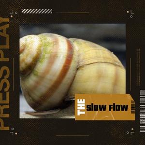 The Slow Flow (Explicit)