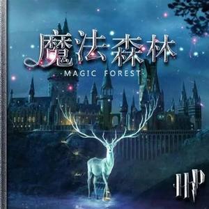 HP·哈利波特群像——魔法森林