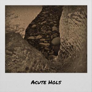 Acute Hols