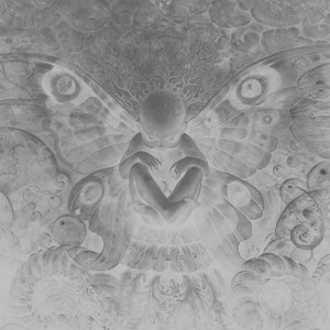 Why(feat. Harry Sharma) (Explicit)