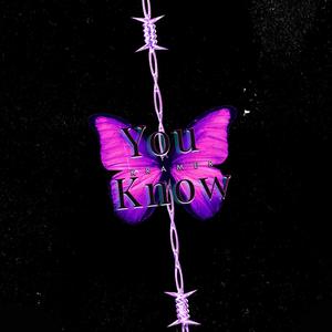 You Know (Radio Edit|Explicit)