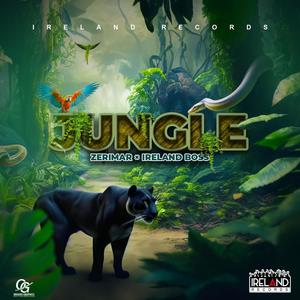 Jungle (Explicit)