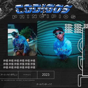 CODIGOS Y PRINCIPIOS (Explicit)