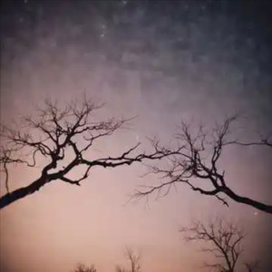 爱而不得 (伤感版)