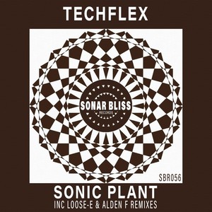Sonic Plant (Alden F Remix)